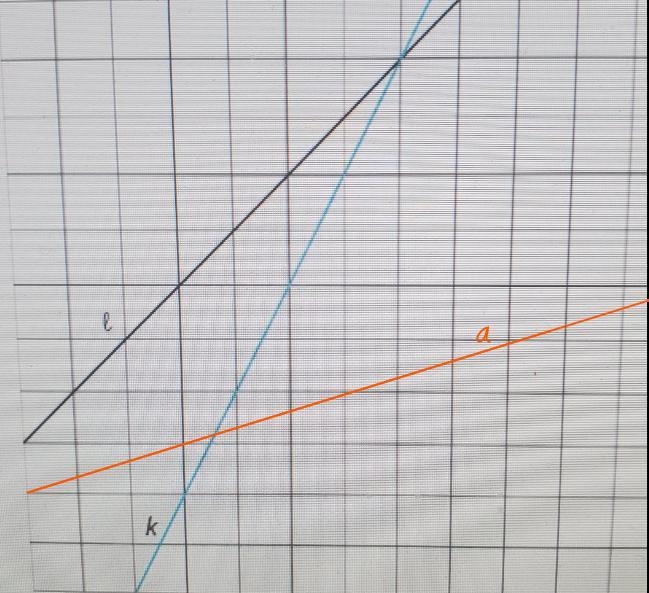 . Use a ruler to help you graph a line whose slope is 1/3. Label this line a.-example-1