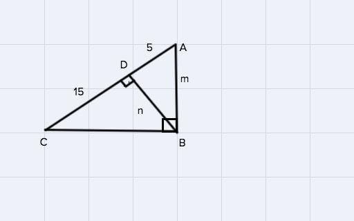 What does m=? I could figure out n but I can’t seem to figure out m-example-1