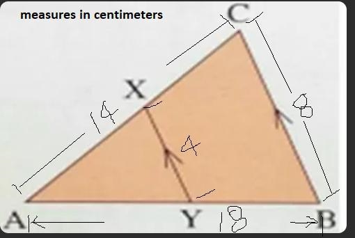 If AB=18cm,AC=14cm,BC=8cm and XY=4cm how do i find AX and AY?-example-1