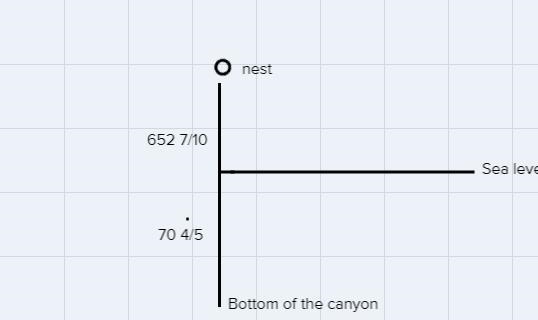 4 Flying Home A bird flies from the bottom of a canyon that is 70 5 feet below sea-example-1