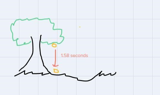 2. A pinecone falls from a tree branch that is 20 feet above the ground. This is modeled-example-1