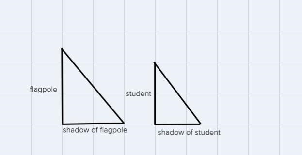 N. Students wanted to determine theheight of the flagpole. They measuredits shadow-example-1