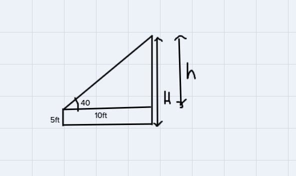 Tim looks up at the top of a tree at an angle of elevation of 40 degrees. If heis-example-1