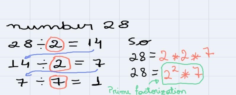 13. Puppies have 28 teeth and most adult dogs have 42 teeth. Find the primefactorization-example-1