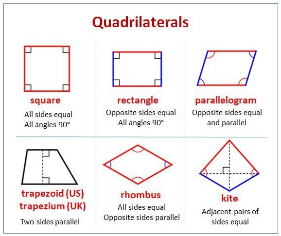 Classify the shape as precisely as possible based on its markings.Question options-example-1