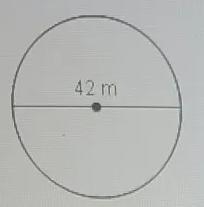 Find the circumference of the circle. Use 3.14 or 22/7 for Round to the nearest tenth-example-1