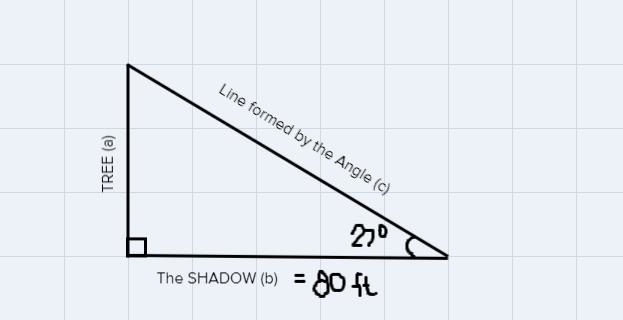 45. A tree casts a shadow that is 80 ft. long when the angle of elevation of the sun-example-3