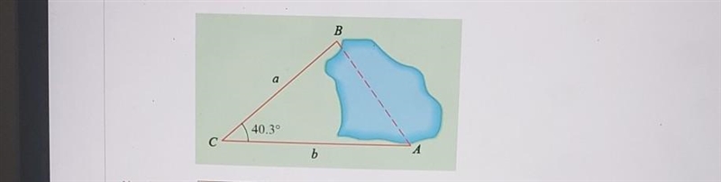 To find the distance across a small lake, a surveyor has taken the measurements shown-example-1