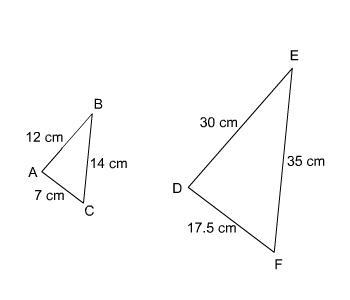 Are the triangles similar? If so, what postulate or theorem proves their similarity-example-1