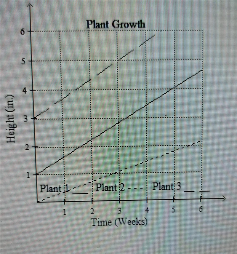 Each line on this graph shows a constant rate of change. 1. What is the constant rate-example-1