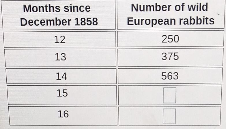 Assume the tabLe is exponential There was a release of European wild rabbits in Victoria-example-1