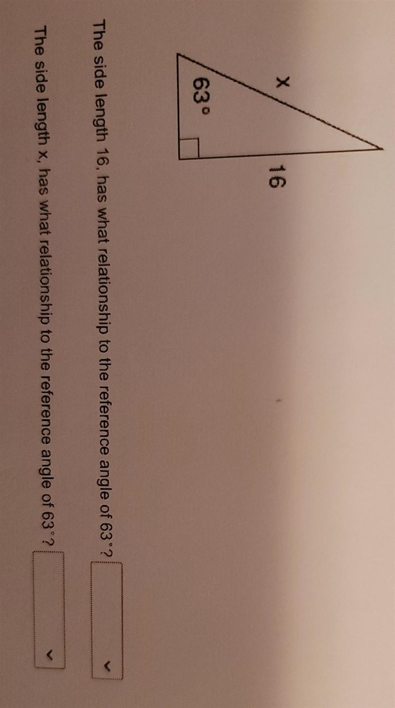 Please help me figure this question. this is my daily practice.-example-1