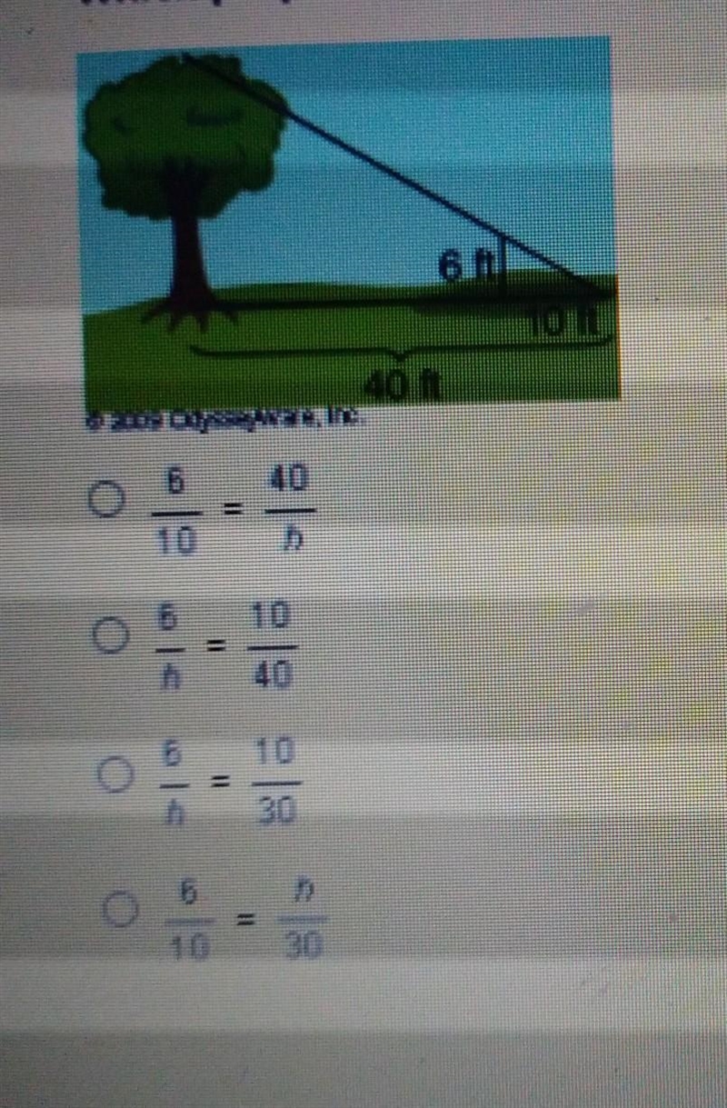 Which proportion could be used to solve for the height of the tree?-example-1