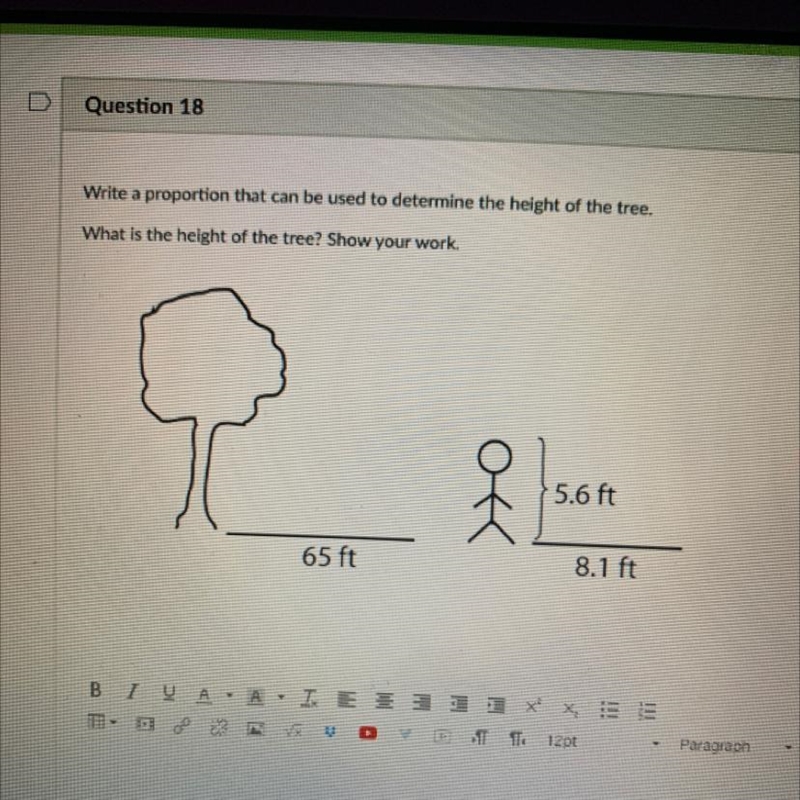 Write a proportion that can be used to determine the height of the tree.What is the-example-1