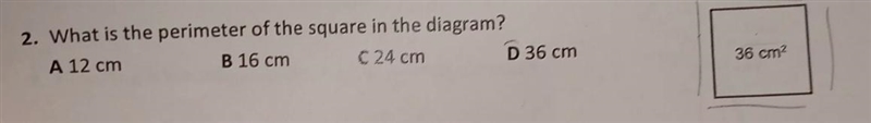 2. What is the perimeter of the square in the diagram? A 12 cm B 16 cm C 24 cm D 36 cm-example-1