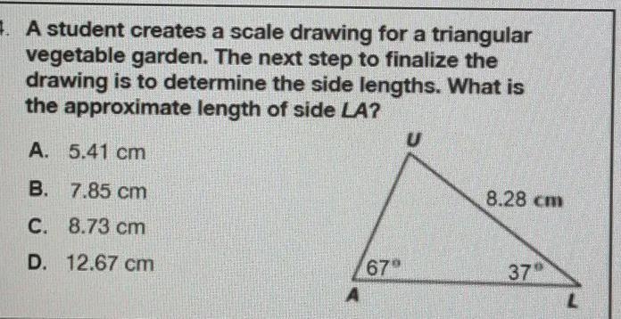 A student creates a scale drawing for a triangular vegetable garden. the next step-example-1