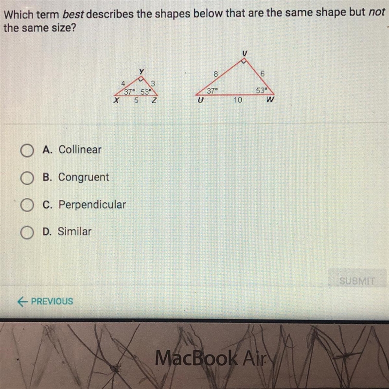 Which term best describes the shapes below that are the same shape but notthe same-example-1