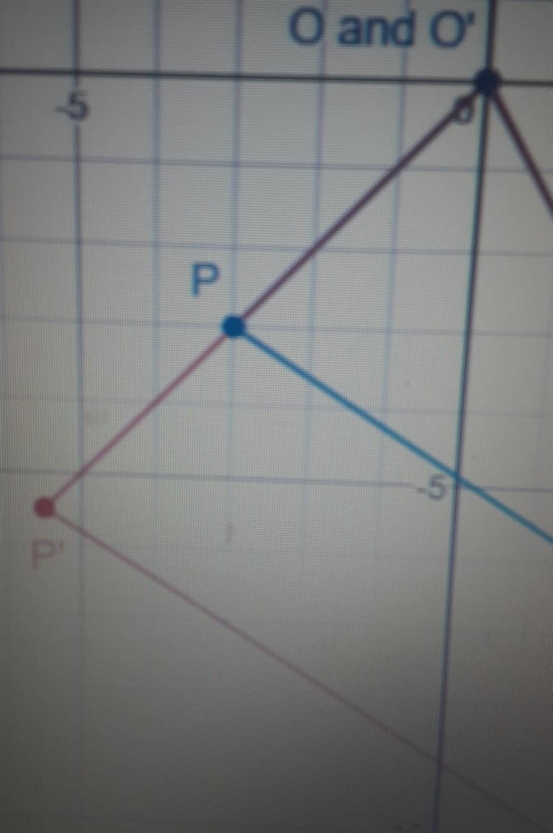 use your answer from question five and the coordinates of P to find the coordinates-example-1