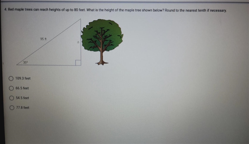 Red maple trees can reach heights of up to 80 feet. What is thw height of the maple-example-1