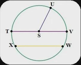 Which statement is NOT true about Circle S?￼a.) Segment SU is a chord.b.) Segment-example-1