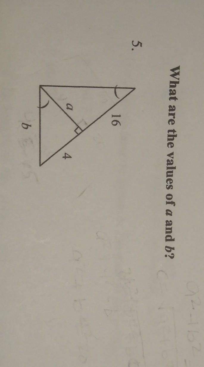 Where do I start to solve this problem? do I calculate the altitude or use pythagorean-example-1