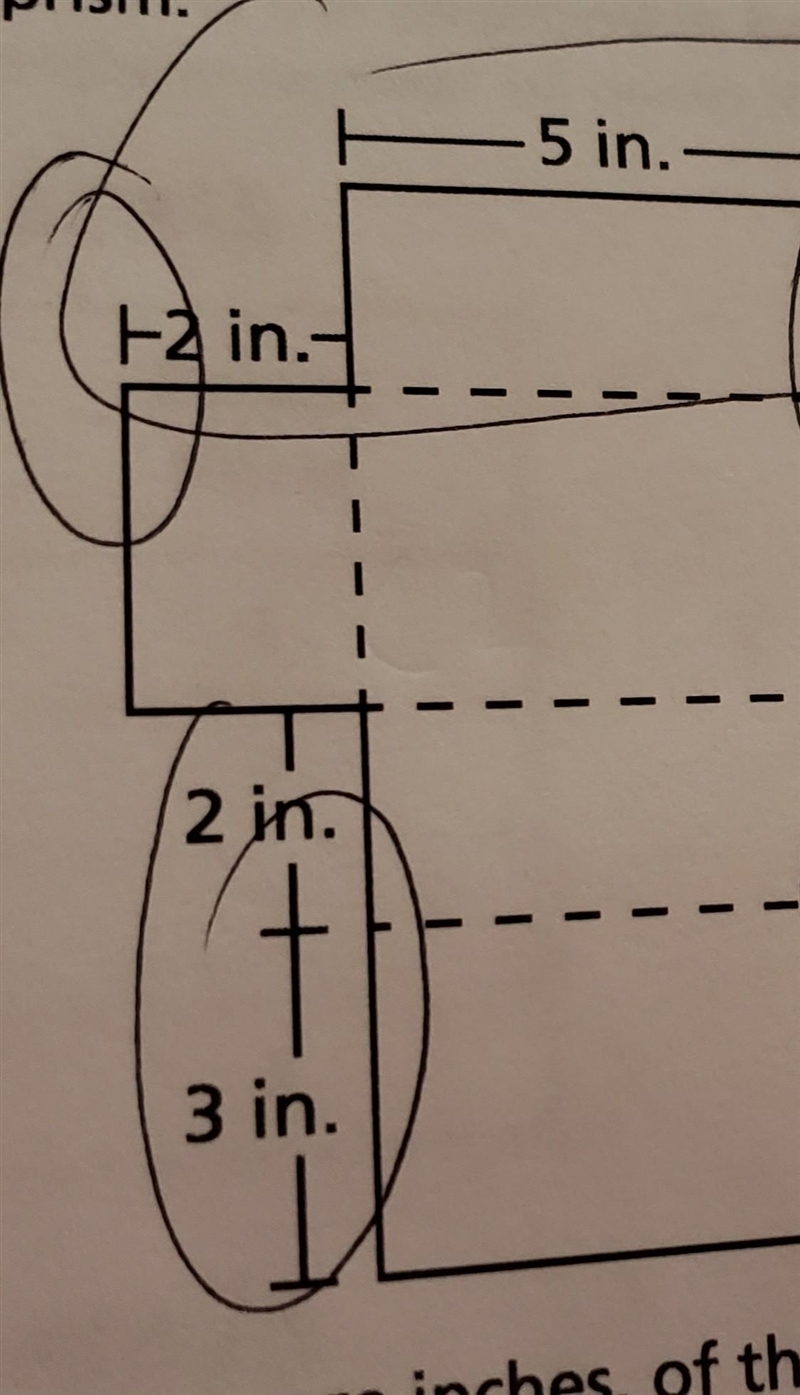 Hi Hope you are doing fine I have a question, A student draws the net below to show-example-1