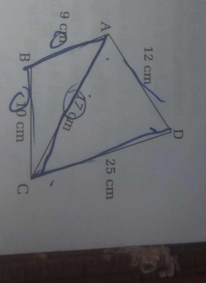 Find the area of following quadeilaterals ??????? ​-example-1