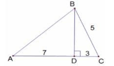 How do I solve for AB? (rounded to the nearest tenth)-example-1