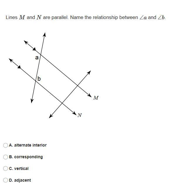 Lines M and N are parallel. Name the relationship between ∠a and ∠b.-example-1