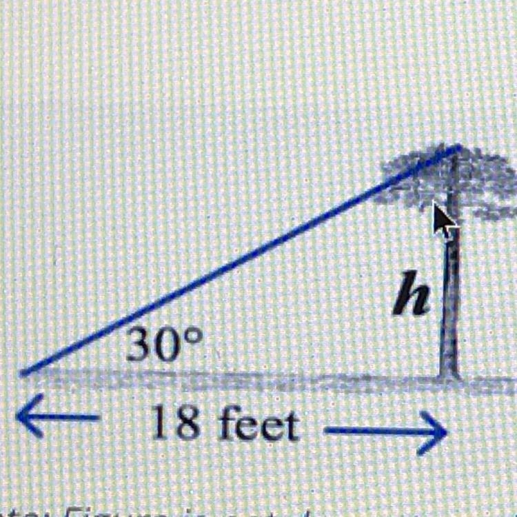 From the ground 18ft away from the tree, the angle of elevation to the top of the-example-1