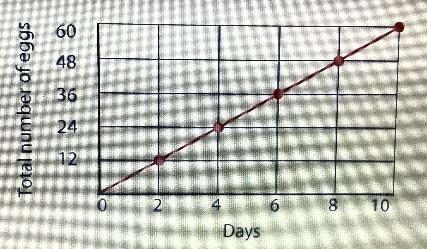 Troy is training for a wrestling tournament, and he eats eggs every day. The graph-example-1