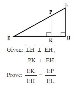 Pls help I don't get it-example-1