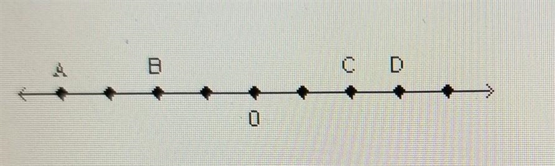 Jamal discovers that the sum of point B and point C is zerowhich sentence is correct-example-1