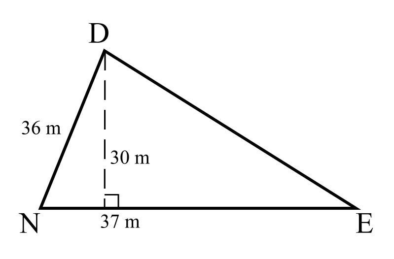 Find the area.This is a triangle DEN. Side NE has a length of 37 meters. Side DN has-example-1