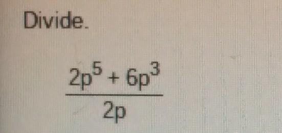 Hello! I was wondering if if you could solve this becuseI I just want to check my-example-1