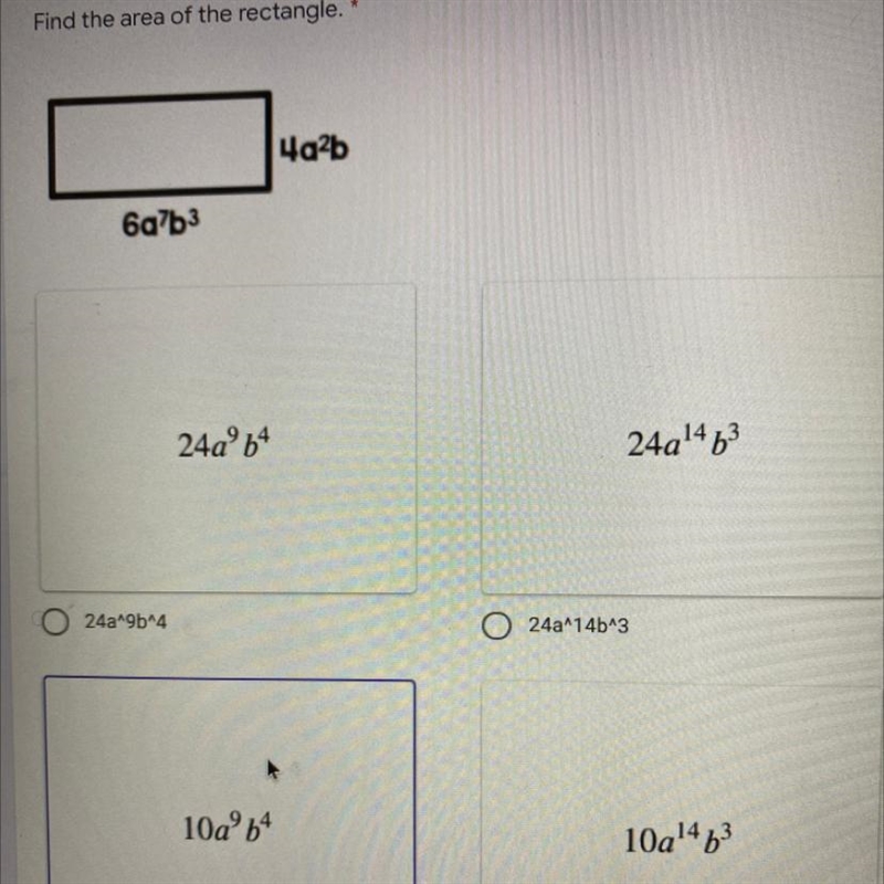 Find area of the rectangle 4a^2b 6a^7b^3-example-1