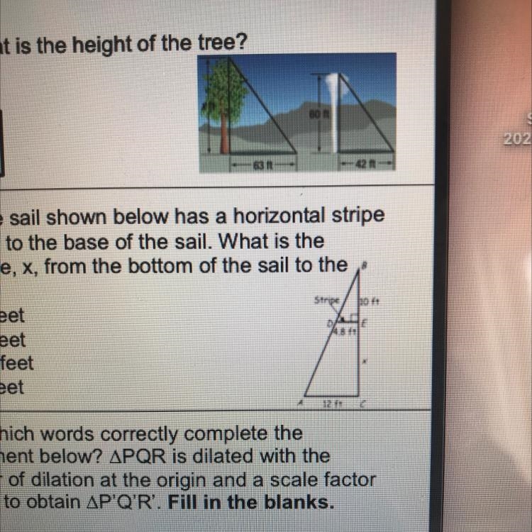 44) The sail shown below has a horizontal stripeparallel to the base of the sail. What-example-1