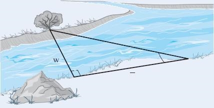 Find the width (in m) of the river in the illustration. (Round your answer to three-example-1