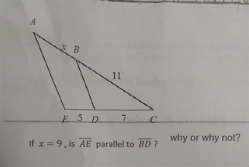 If x = 9, is AE parallel to BD ? why or why not?​-example-1