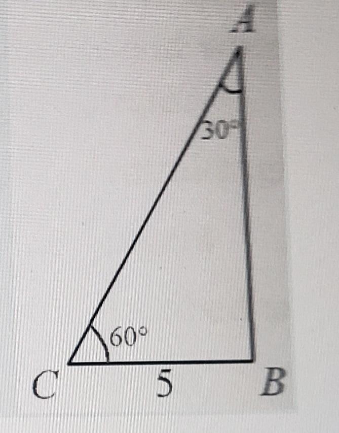 1 What is the measure of (AB)? a. 8.7 b. 10 c.5 d. 2.5-example-1