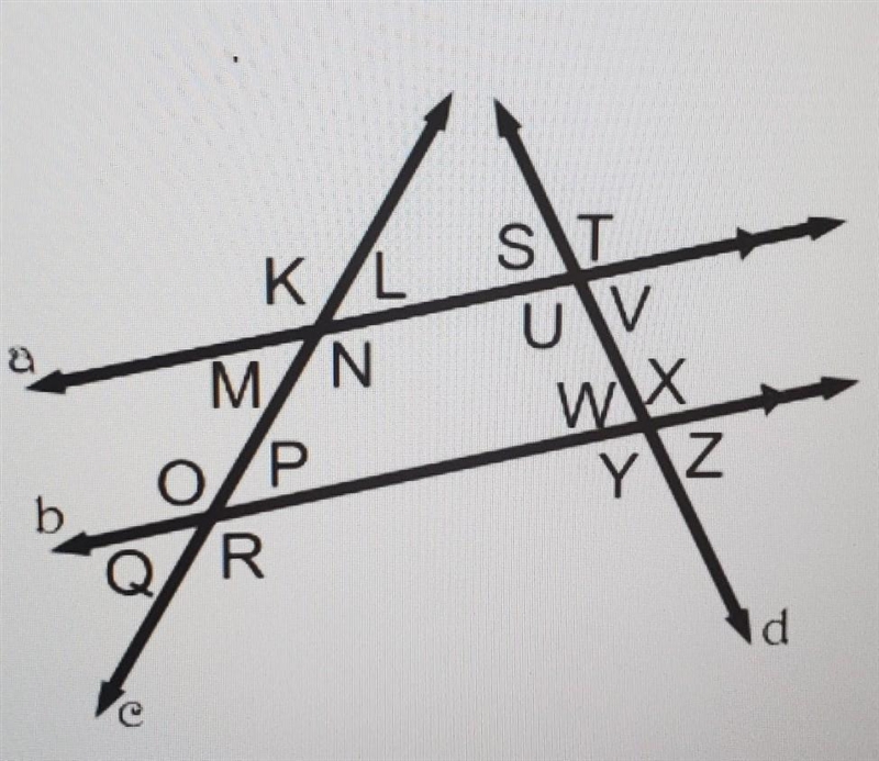 In the diagram below, lines a and b are parallel and lines c and d are transversals-example-1