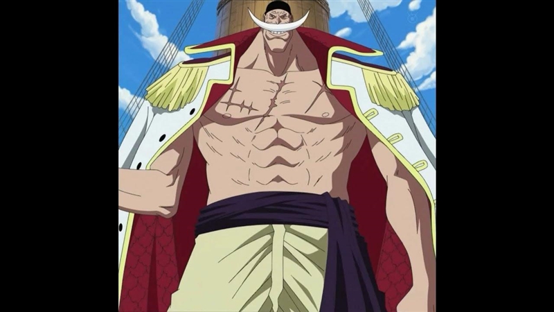 THE ONE PIECE IS REAL-example-1