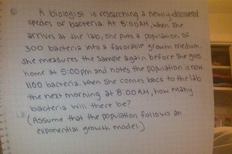 How many bacteria will there be?Round to the nearest whole number-example-1