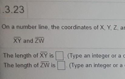 x,y,z and w are -8-6,2 and 6, respectively find the length of two segments . Then-example-1