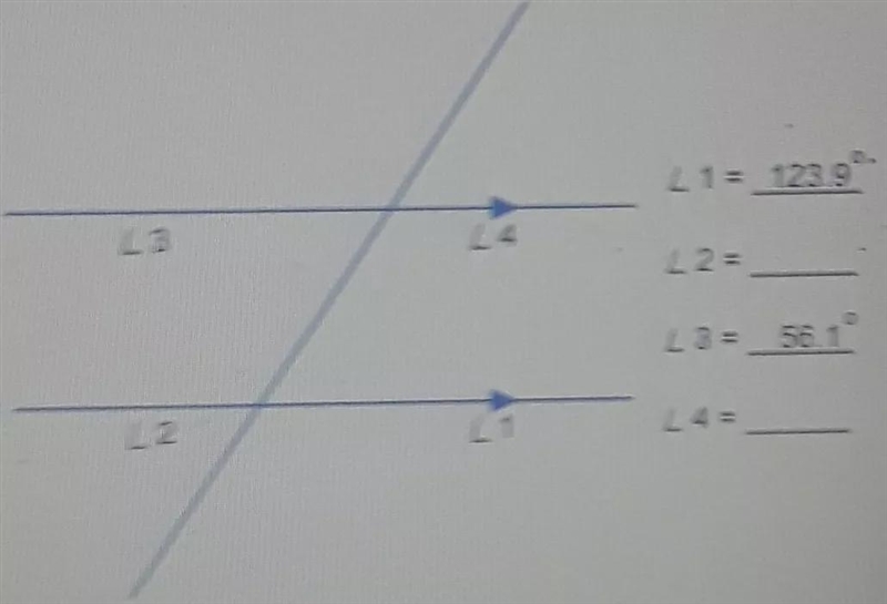 Where can I find L2 and L3 for a missing corresponding angles?-example-1