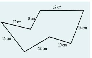 Find the Perimeter of the given figure. Show your solution-example-1