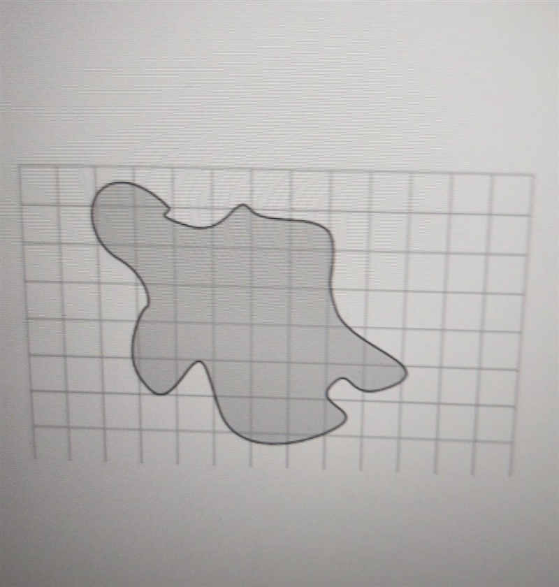 . Estimate the area of the following irregular shapes? ​-example-1