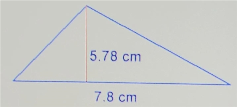 Estimate the area of the triangle below A.) 12 cm^2B.) 48 cm^2C.) 24 cm^2D.) 35 cm-example-1