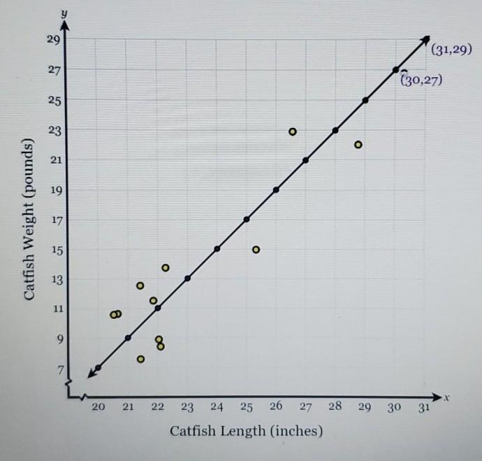 Anand decides to research the relationship between the length in inches and theweight-example-1