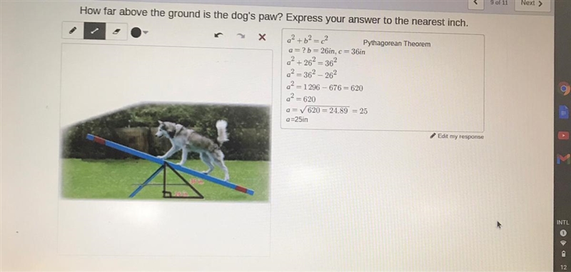 How far above the ground is the dog's paw? Express your answer to the nearest inch-example-1